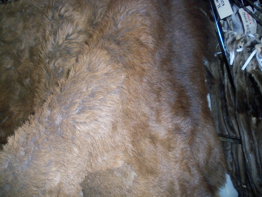 brain tanned buffalo hides for sale