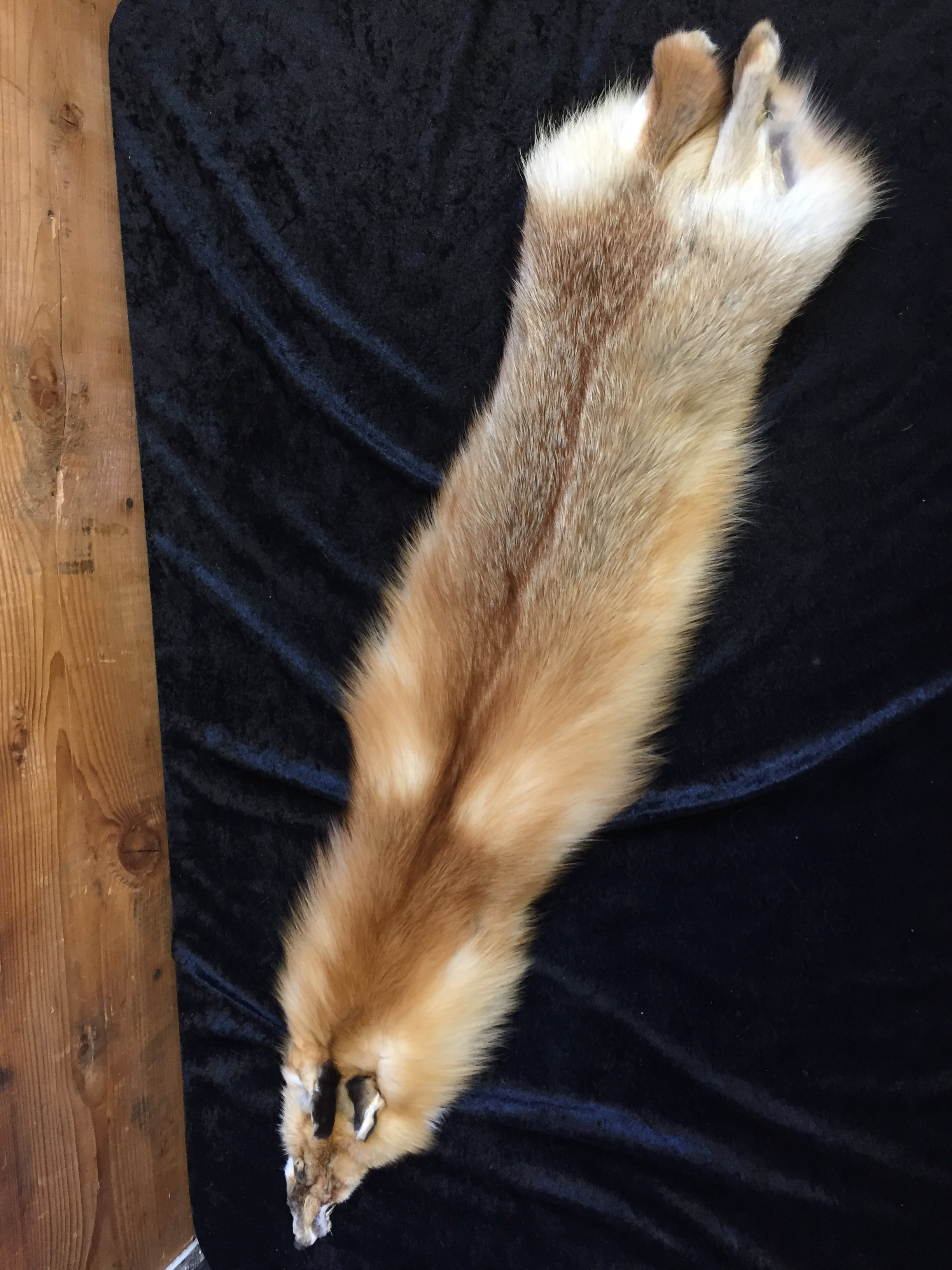 Genuine Natural Tanned Red Fox Pelts Hides Fur Real Fox Skin Hides for Fly  Tying DIY Crafts Fur Coats Trapping Fur Taxidermy Decor 44-49 inch Red