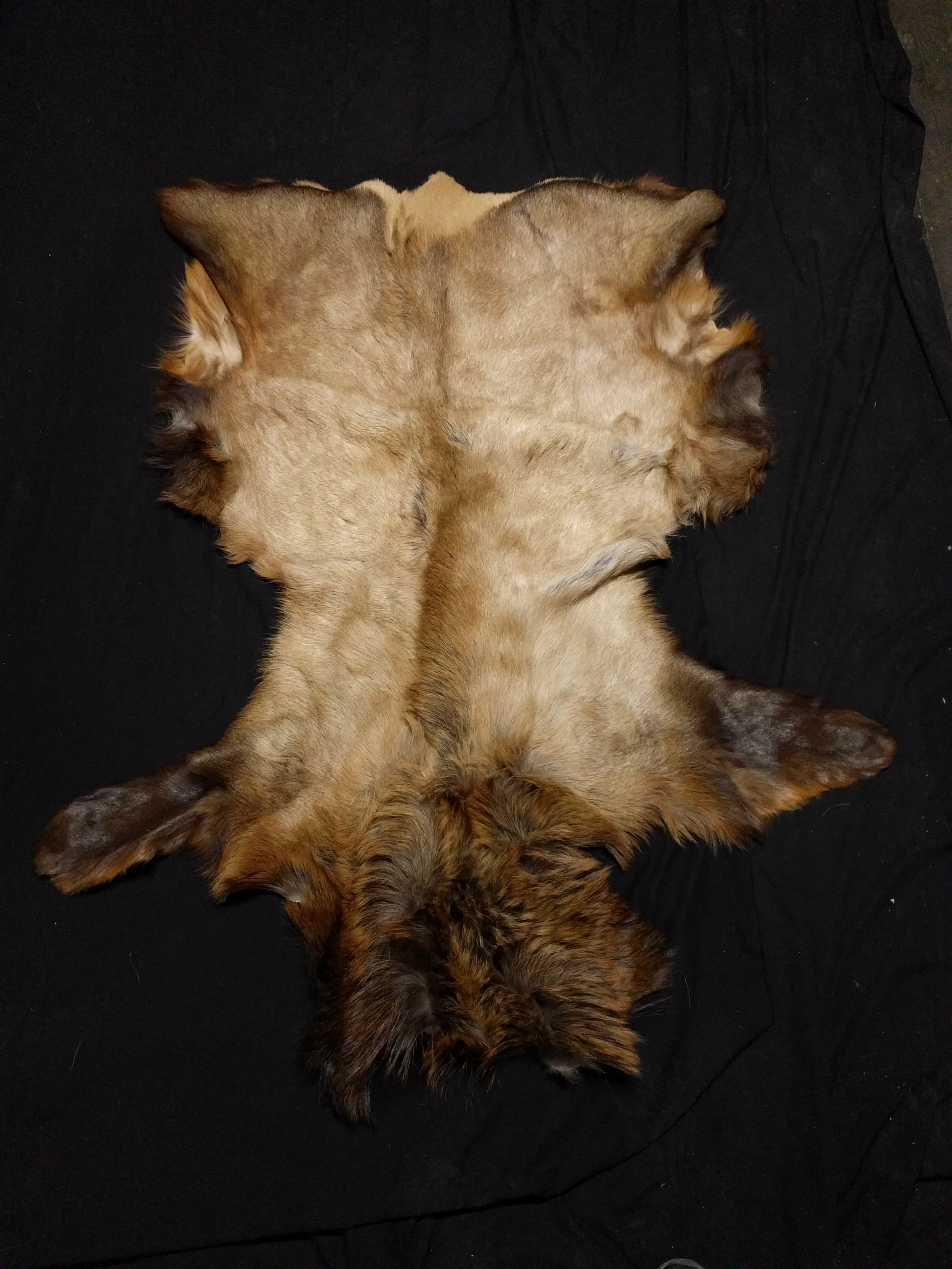 tanned moose hides for sale